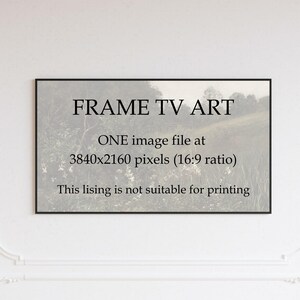 May include: A black and white image of a field of flowers with the text "FRAME TV ART" and "ONE image file at 3840x2160 pixels (16:9 ratio) This listing is not suitable for printing" in the center.