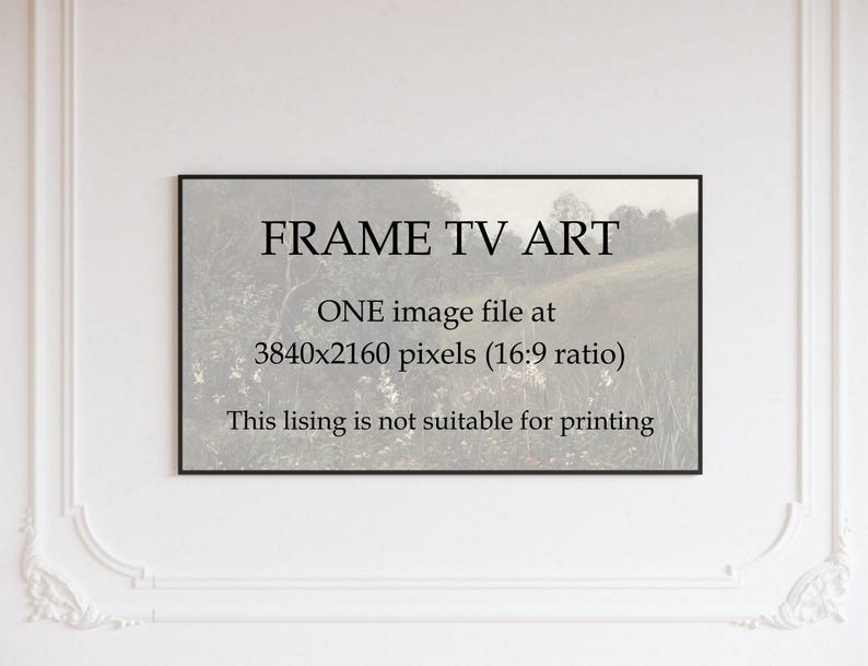 May include: A black and white image of a field of flowers with the text "FRAME TV ART" and "ONE image file at 3840x2160 pixels (16:9 ratio) This listing is not suitable for printing" in the center.