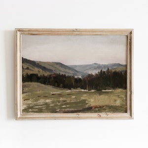 May include: A framed painting of a landscape with rolling hills, a forest, and a river in the distance. The painting is done in muted tones of green, brown, and gray.