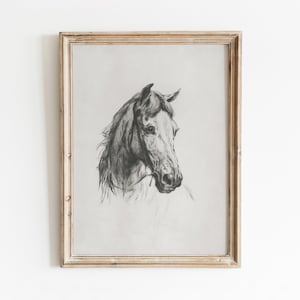Könnte beinhalten: Eine Schwarzweiß-Bleistiftzeichnung eines Pferdekopfes in einem einfachen Holzrahmen.