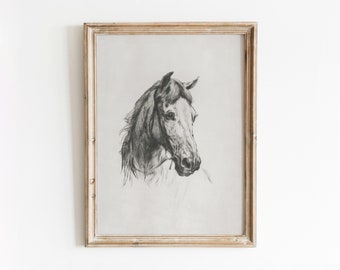 May include: A black and white pencil drawing of a horse's head in a simple wooden frame.