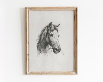 Horse Etching | Vintage Black and White Sketch | Farm Animal Artwork | Digital Download | 629