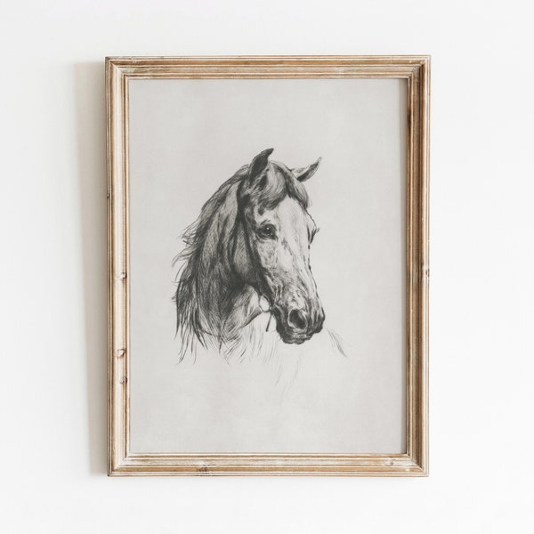 Horse Etching | Vintage Black and White Sketch | Farm Animal Artwork | Digital Download | 629