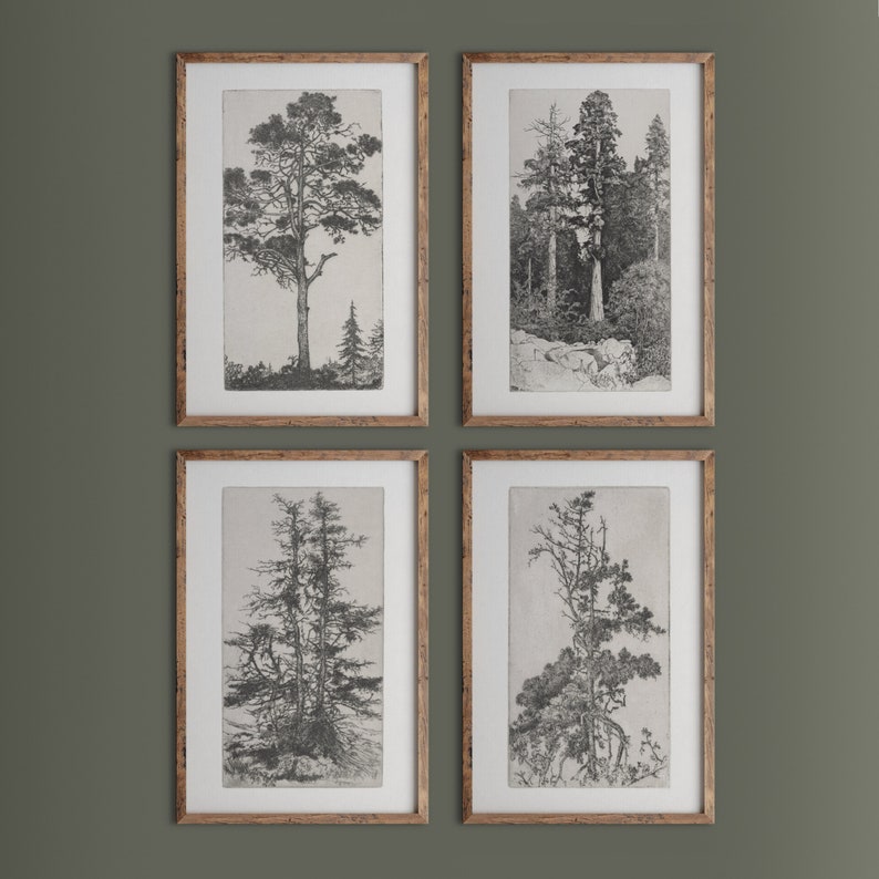 May include: Set of four black and white framed prints featuring different types of trees. The prints are in simple wooden frames and have a vintage aesthetic.