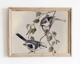 Azure Birds | Vintage Bird Watercolor Painting | Blue Wall Decor | Nursery Animal Art | Printable Art | Digital Download | 215