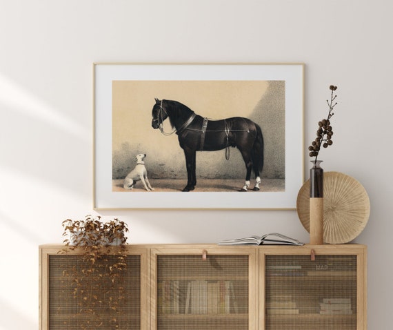 馬と犬のイラスト | ヴィンテージ動物の親友アートワーク