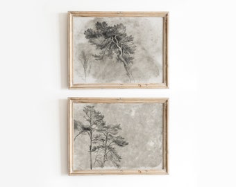 Tree Top Sketch Set | Vintage Botanical Pencil Drawing | Grey Scale Artwork | Digital Download | 747