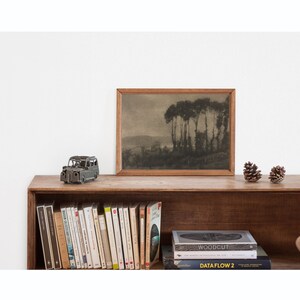 May include: A wooden shelf with a framed black and white photograph of trees, a small metal car, and a stack of books. The books include titles such as "Woodcut" and "Dataflow 2".
