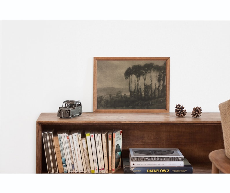 May include: A wooden shelf with a framed black and white photograph of trees, a small metal car, and a stack of books. The books include titles such as "Woodcut" and "Dataflow 2".
