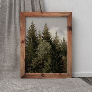 Op de afbeelding: Een ingelijste print van een bos sc&egrave;ne met hoge, groene dennenbomen tegen een lichtblauwe lucht. De bomen staan dicht bij elkaar, waardoor een gevoel van diepte en perspectief ontstaat.