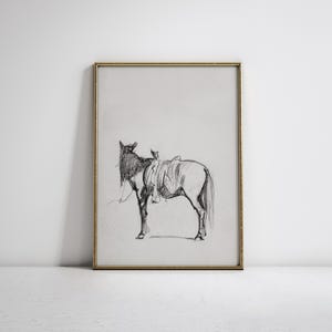 Saddled Horse | Vintage Farm Animal Sketch | Horseback Riding Drawing | Country Western Art | Digital Download | 465 image 5