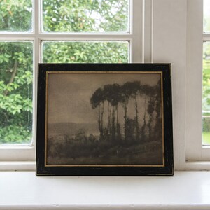 May include: A black framed print of a sepia toned landscape photograph. The photograph shows a group of trees in the foreground with a hazy background.