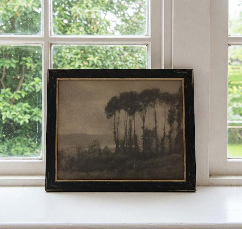 May include: A black framed print of a sepia toned landscape photograph. The photograph shows a group of trees in the foreground with a hazy background.