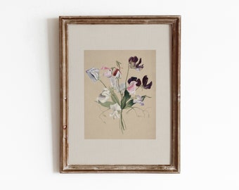 Sweet Peas | Vintage Botanical Flower Painting | Blossom Watercolor Art | Digital Download | 429