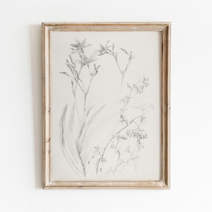 Botanical Study | Vintage Black and White Drawing | Floral Illustration | Digital Download | 545