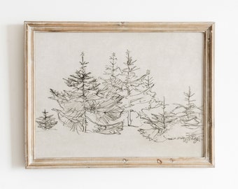Christmas Tree Forest | Vintage Black and White Sketch | Nature Illustration | Digital Download | 459