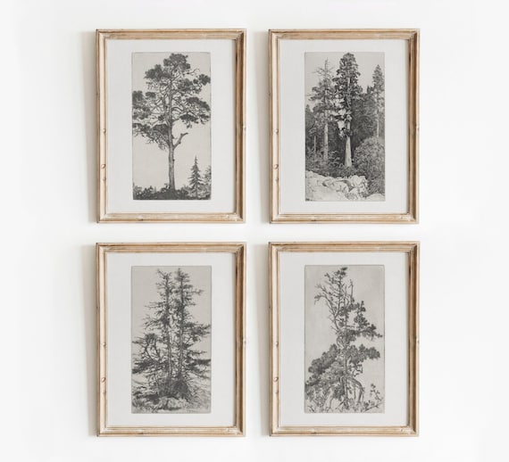 Tree Etching Set of 4 | Vintage Black and White Sketch Art | Nature Gallery Wall Artwork | Digital Download | 805
