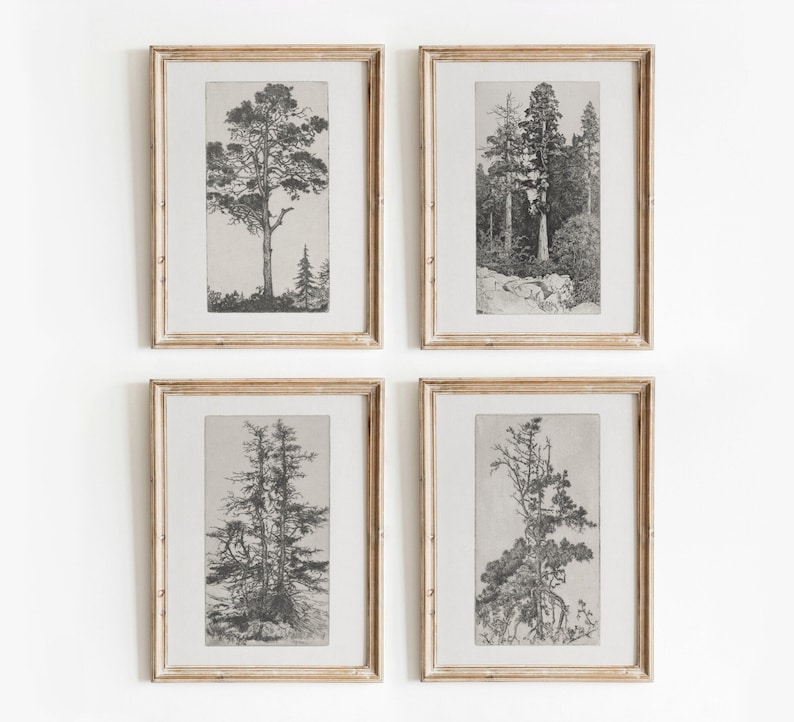 May include: Set of four black and white framed prints featuring different types of trees. Each print is in a simple, light wood frame.