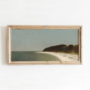 May include: A framed painting of a seascape with a sandy beach and a green grassy hill in the background. The sky is a light blue and the water is a light green.