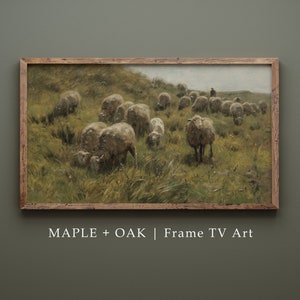 Samsung Frame TV Art | Vintage Grazing Sheep Painting | DIGITAL DOWNLOAD | 148
