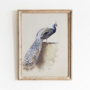 Blue Peacock | Vintage Bird Watercolor Painting | Neutral Animal Nursery Art | Digital Download | 242