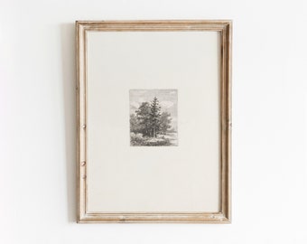 Baumradierung | Vintage Landschaftsskizze | Schwarz-Weiß-Kunst | Minimale Zeichnung | Digitaler Download | 270