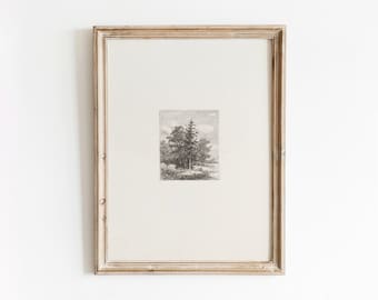 Tree Etching | Vintage Landscape Sketch | Black and White Art | Minimal Drawing | Digital Download | 270