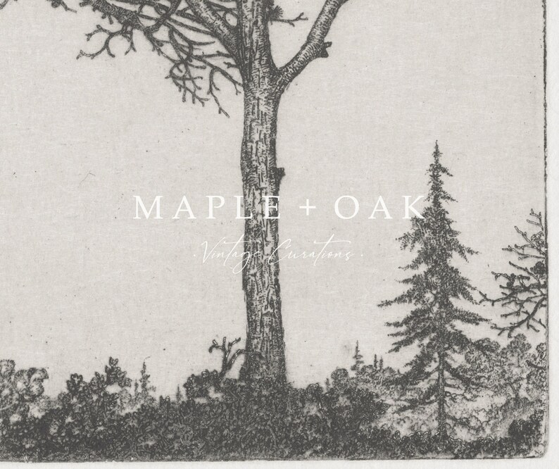 May include: Black and white illustration of a tall tree with branches reaching up and a smaller tree to the right. The text "MAPLE + OAK Vintage Creations." is printed below the trees.