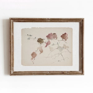 Clematis Vine | Vintage Botanical Watercolor | Flower Artwork | Beige Pink Floral Painting | Digital Download | 400
