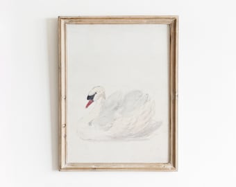 May include: A framed watercolor painting of a white swan with a red beak, set against a white background.
