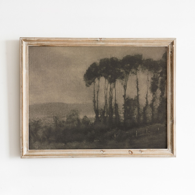 May include: A framed black and white photograph of a woodland scene with trees silhouetted against a cloudy sky.