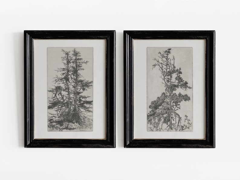 May include: Two black framed prints of detailed pencil drawings of trees. The prints are hung side-by-side on a white wall.