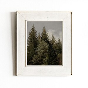 Coniferen | Vintage boomlandschapsschilderij | Natuurkunst | Neutraal wanddecoratie | Digitale download | 645 afbeelding 4