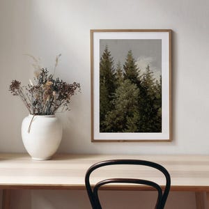 Coniferen | Vintage boomlandschapsschilderij | Natuurkunst | Neutraal wanddecoratie | Digitale download | 645 afbeelding 3