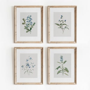 Set botanico blu di 4 / Stampe floreali vintage / Galleria d'arte murale minimalista con acquerelli / Download digitale / 720