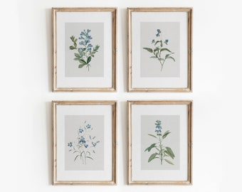Blue Botanical Set of 4 | Vintage Floral Prints | Minimal Watercolor Gallery Wall Art | Digital Download | 720