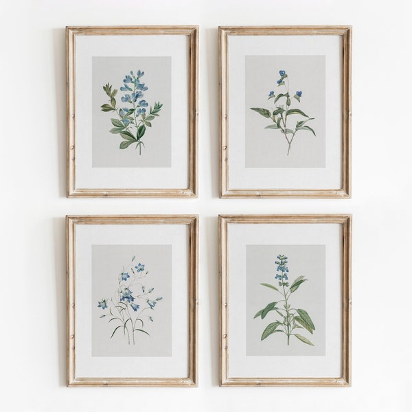 Blauwe botanische set van 4 | Vintage bloemenprints | Minimale aquarel galerij kunst aan de muur | Digitale download | 720