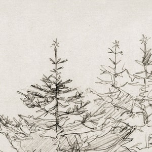 Christmas Tree Forest Vintage Black and White Sketch Nature Illustration Digital Download 459 image 5