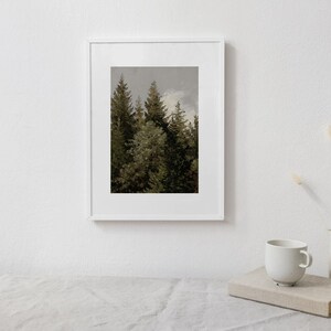 Op de afbeelding: Een ingelijste print van een bos sc&egrave;ne met hoge groenblijvende bomen en een bewolkte lucht. De bomen zijn donkergroen en de lucht is lichtgrijs.