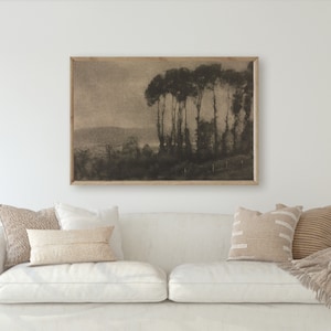 May include: A framed black and white landscape photograph of a row of trees in front of a hill. The photograph is hanging on a white wall above a white sofa with throw cushions.