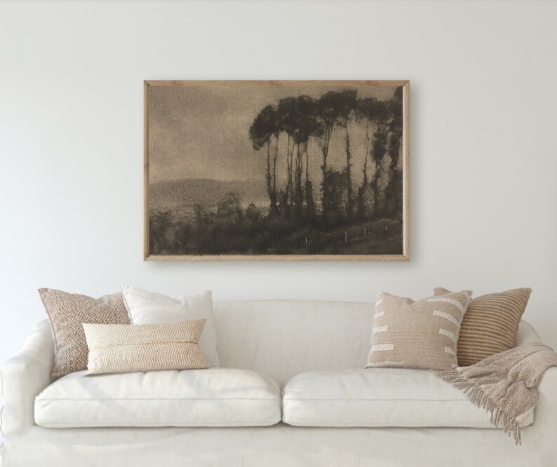 May include: A framed black and white landscape photograph of a row of trees in front of a hill. The photograph is hanging on a white wall above a white sofa with throw cushions.