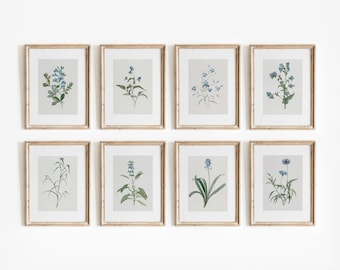 Blue Botanical Set of 8 | Vintage Floral Watercolors | Printable Flower Art | Blue Decor | Digital Download | 721
