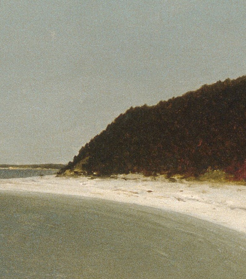 May include: A scenic view of a sandy beach with a green shoreline and a dark green forested hill in the background.
