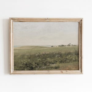 Puede incluir: Una pintura enmarcada que representa una escena de paisaje con un campo de hierba verde y flores silvestres en primer plano, una costa distante y un cielo nublado.