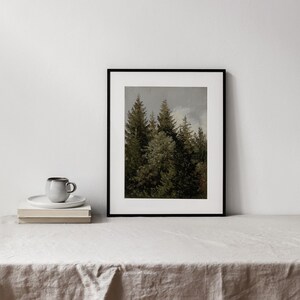 Op de afbeelding: Een ingelijste print van een bos sc&egrave;ne met hoge, donkergroene bomen tegen een bewolkte lucht.