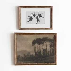 Ravens + Tonal Valley | Vintage Dark Moody Art | Spooky Gloomy Bird and Landscape | Digital Download | 421