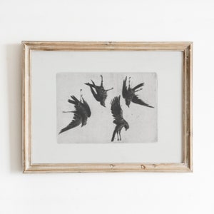 May include: A framed black and white print of five birds in flight, with their wings spread out and their bodies facing downwards. The birds are silhouetted against a light background.