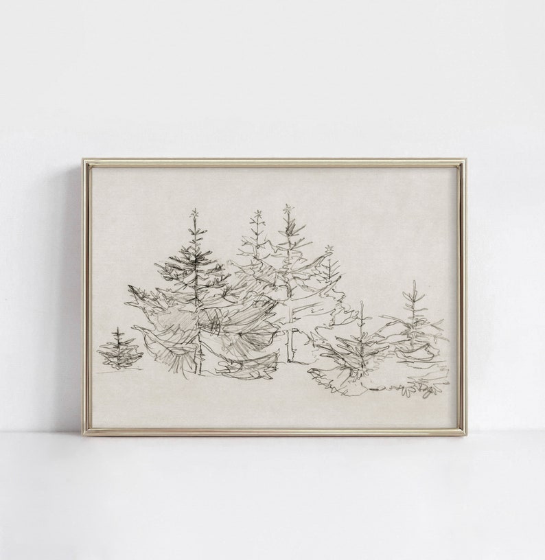 Christmas Tree Forest Vintage Black and White Sketch Nature Illustration Digital Download 459 image 4