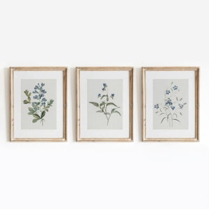 Blue Botanical Set of 3 | Vintage Flower Paintings | Floral Indigo Minimal Art | Digital Download | 457