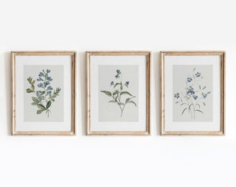 Blue Botanical Set of 3 | Vintage Flower Paintings | Floral Indigo Minimal Art | Digital Download | 457